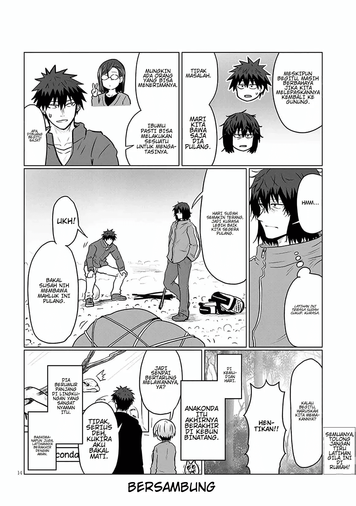 Page 14